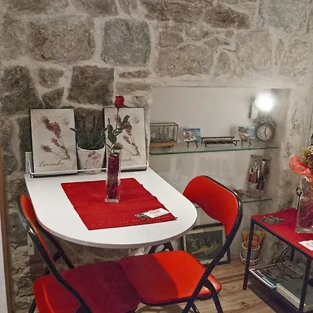 Studio Venera